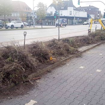 DER mobile Hausmeister Bad Zwischenahn Drainage