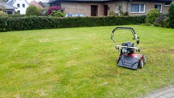 DER mobile Hausmeister Bad Zwischenahn Rasenpflege